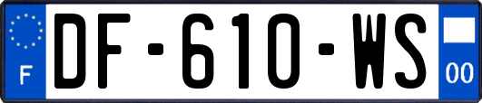 DF-610-WS