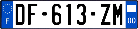 DF-613-ZM