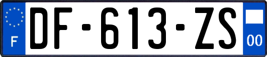 DF-613-ZS