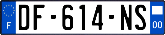 DF-614-NS