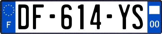 DF-614-YS