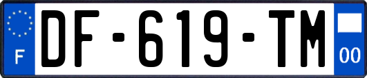 DF-619-TM