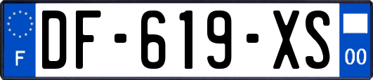 DF-619-XS