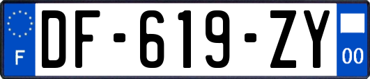 DF-619-ZY