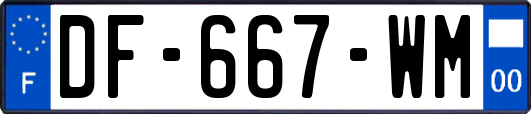 DF-667-WM