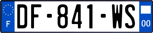 DF-841-WS