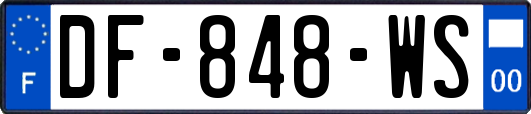 DF-848-WS