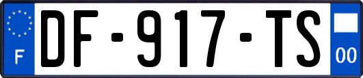 DF-917-TS