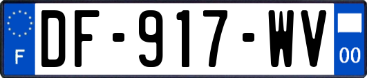 DF-917-WV