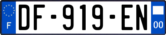 DF-919-EN