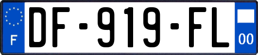 DF-919-FL