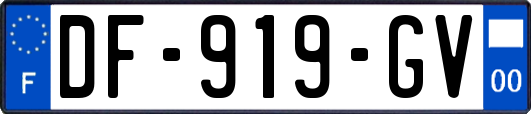 DF-919-GV