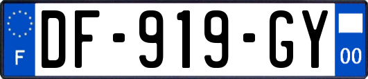 DF-919-GY