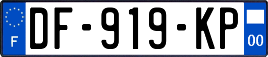 DF-919-KP