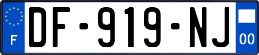 DF-919-NJ