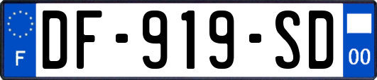 DF-919-SD