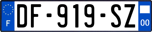 DF-919-SZ