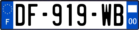 DF-919-WB