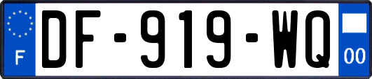 DF-919-WQ