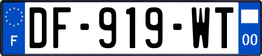 DF-919-WT