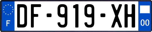 DF-919-XH