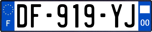 DF-919-YJ