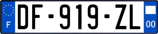 DF-919-ZL