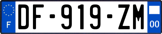 DF-919-ZM