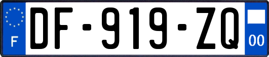 DF-919-ZQ