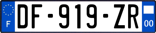 DF-919-ZR