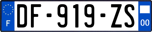 DF-919-ZS