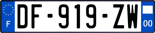 DF-919-ZW