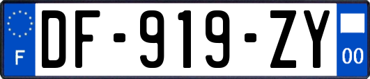 DF-919-ZY