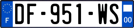 DF-951-WS