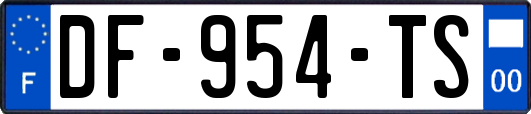 DF-954-TS