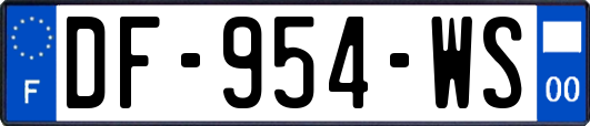 DF-954-WS