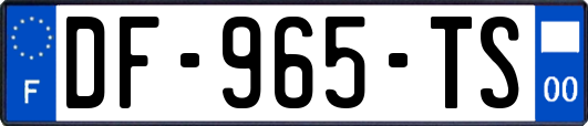 DF-965-TS