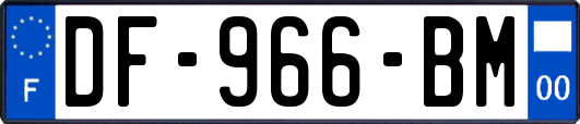 DF-966-BM