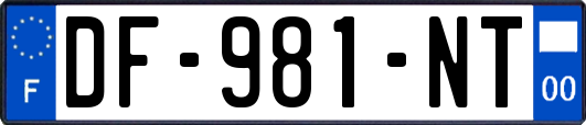 DF-981-NT