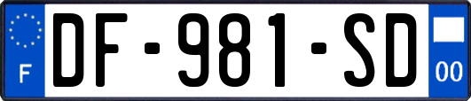 DF-981-SD