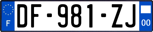 DF-981-ZJ