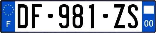 DF-981-ZS