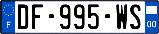 DF-995-WS