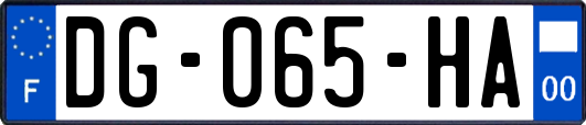 DG-065-HA