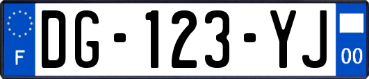DG-123-YJ