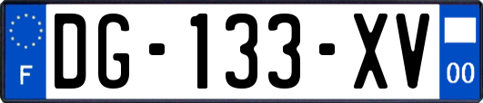 DG-133-XV