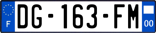 DG-163-FM
