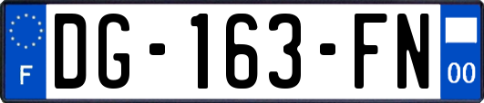 DG-163-FN