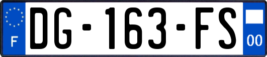DG-163-FS