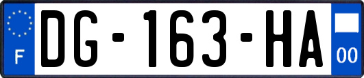 DG-163-HA